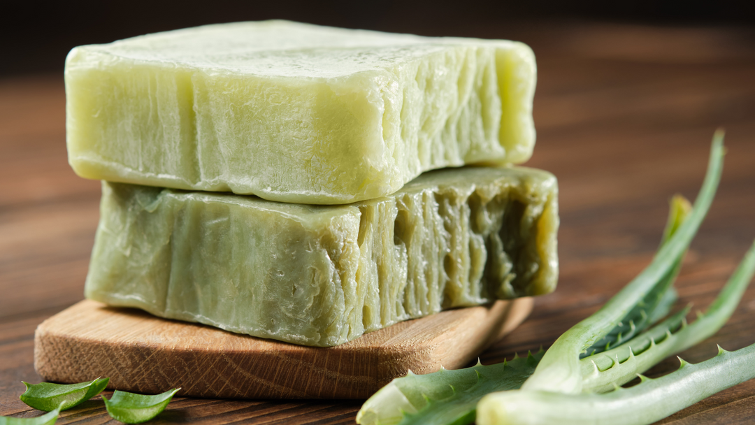 Magic of Aloe Vera