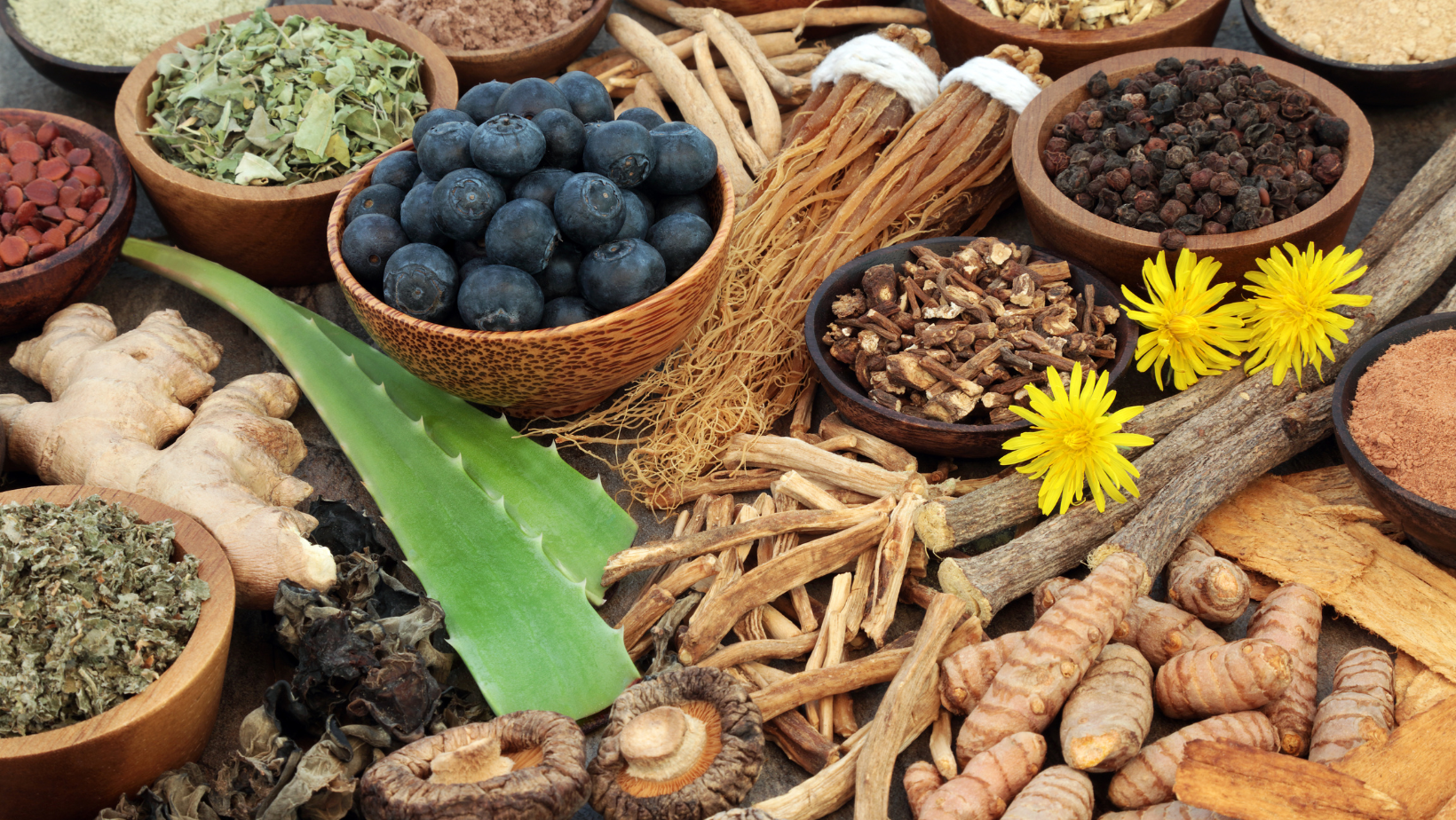 Why Are Adaptogens Important in Skincare Routines? – SelesTeres