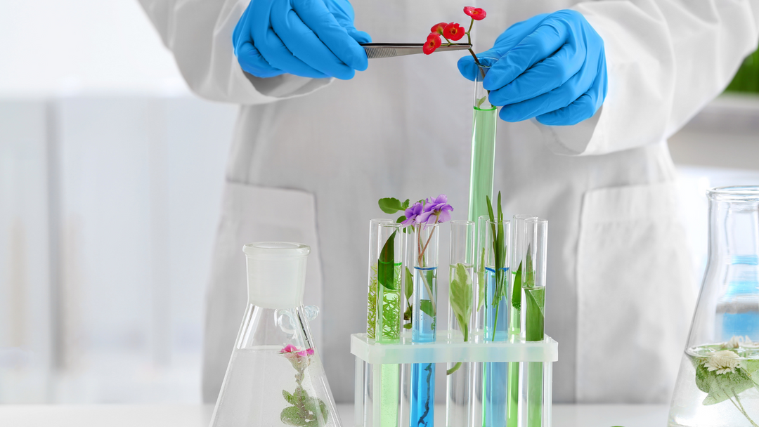 Natural Fragrance Oils vs. Synthetic Fragrance Oils