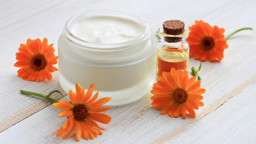 Calendula. Why Is It So Special?