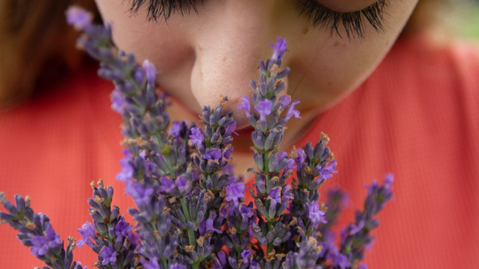 Does Aromatherapy Work? Uses & Benefits